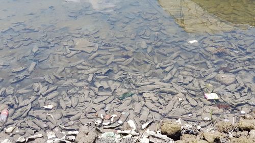 High angle view of garbage on beach