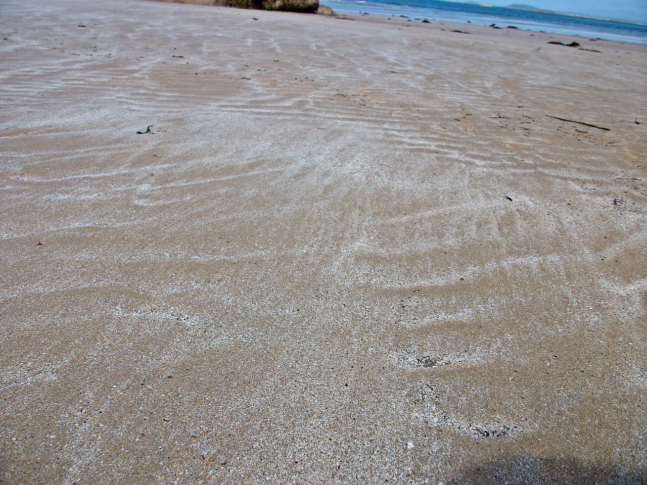 SCENIC VIEW OF SEA SHORE