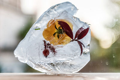 Close-up of ice cream on glass