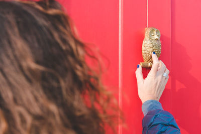 Rear view of woman holding owl figurine on red door