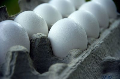 Closeup of  eggs in a carton