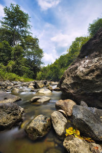 Stream flowing through rocks in forest against sky