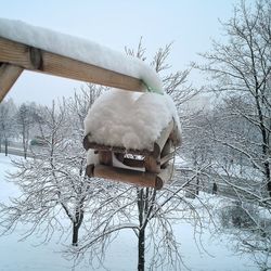 Low angle view of bird perching on snow covered tree