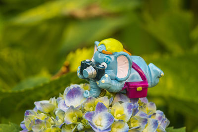 Close-up of statue on plant