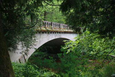 Arch bridge over river amidst trees in forest