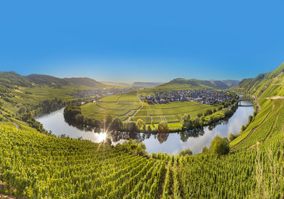 Scenic moselle river loop at leiwen, trittenheim in germany