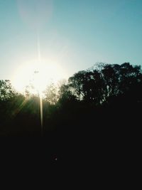 Silhouette trees against clear sky