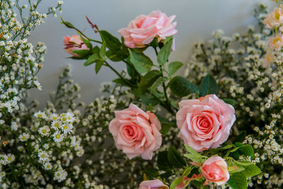 Close-up of rose bouquet