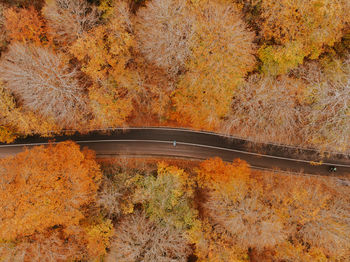 High angle view of bridge during autumn