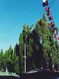 Low angle view of trees