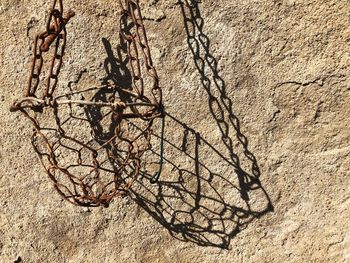 Close-up of bare tree against wall