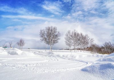 Scenic view of snow covered landscape