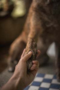 Midsection of man holding hands outdoors