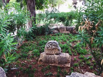 Close-up of stone wall
