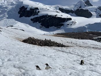 Scenic view of snowcapped mountain