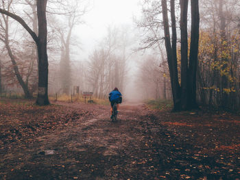 Rear view of person cycling on footpath amidst tree during foggy weather