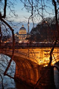 Bare trees and buildings against sky during sunset