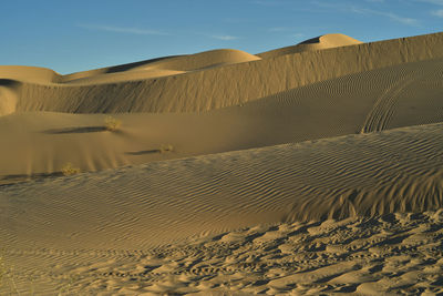 Sand dunes natural wind-blown sand and off road vehicle tire track imperial sand dunes , california