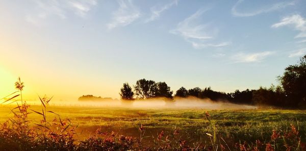Scenic view of field against cloudy sky