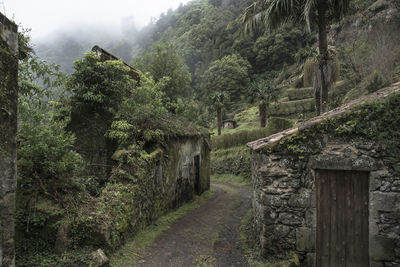 Lost place at sao miguel island - azores, portugal
