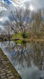 Reflection of trees in lake