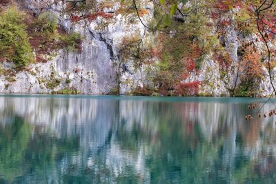 Reflection of trees in lake against sky