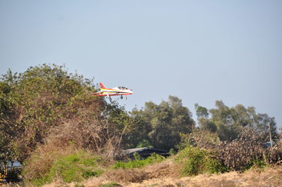 Airplane flying above trees