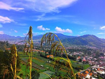 Scenic view of landscape against cloudy sky