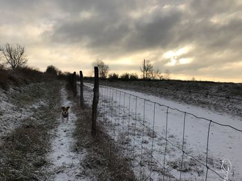 Scenic view of farm against sky