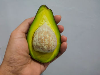 Close-up of hand holding fruit