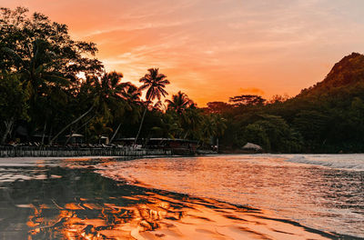 Sunset over tropical sandy beach.