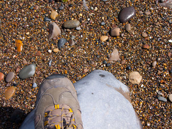 High angle view of shoe on rock at beach