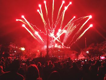 Crowd enjoying music concert at night