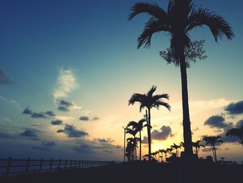 Silhouette palm trees against sky during sunset