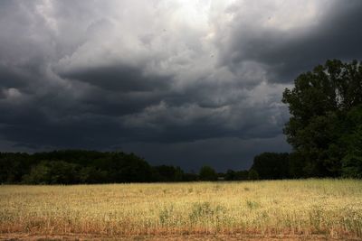 Scenic view of field against cloudy sky