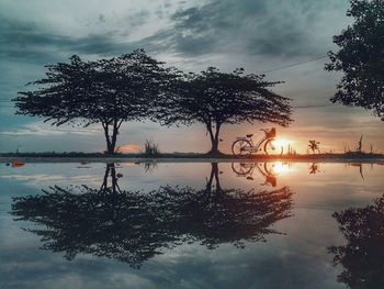 Silhouette tree by lake against sky during sunset