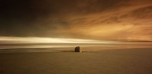 Scenic view of beach against sky during sunset
