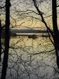 Silhouette bare trees by lake against sky