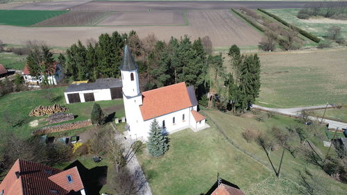 High angle view of trees and buildings