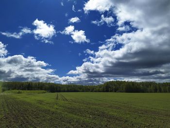 Scenic view of agricultural field against sky