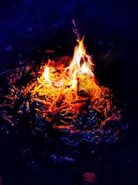Close-up of fire in the dark