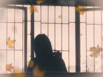 Rear view of woman looking through glass window