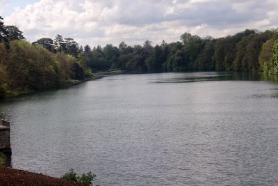 Scenic view of lake in forest against sky