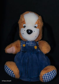 Close-up of stuffed toy against black background