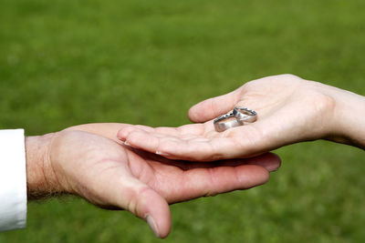 Cropped hand of woman holding snail