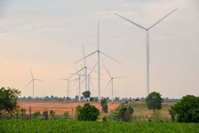 Windmills on field against sky