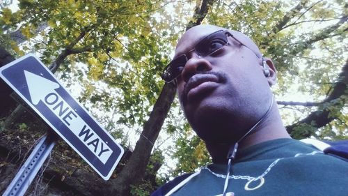 Low angle view of trees