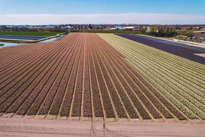 High angle view of agricultural field against sky