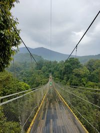 Suspension bridge 