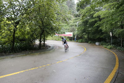 Person riding bicycle on road